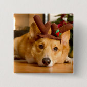 Niedliche Kleintiere | Corgi Christmas Reindeer Button (Vorderseite)