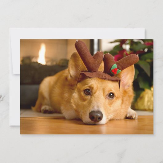 Niedliche Kleintiere | Corgi Christmas Reindeer Dankeskarte (Vorderseite)