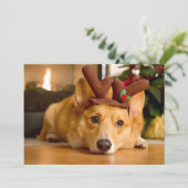Niedliche Kleintiere | Corgi Christmas Reindeer Dankeskarte (Stehend Vorderseite)