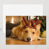 Niedliche Kleintiere | Corgi Christmas Reindeer Dankeskarte (Vorne/Hinten)