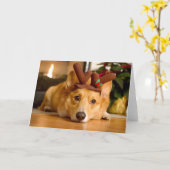 Niedliche Kleintiere | Corgi Christmas Reindeer Karte (Gelbe Blume)