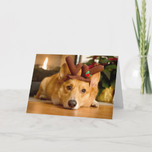 Niedliche Kleintiere   Corgi Christmas Reindeer Karte