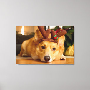Niedliche Kleintiere   Corgi Christmas Reindeer Leinwanddruck