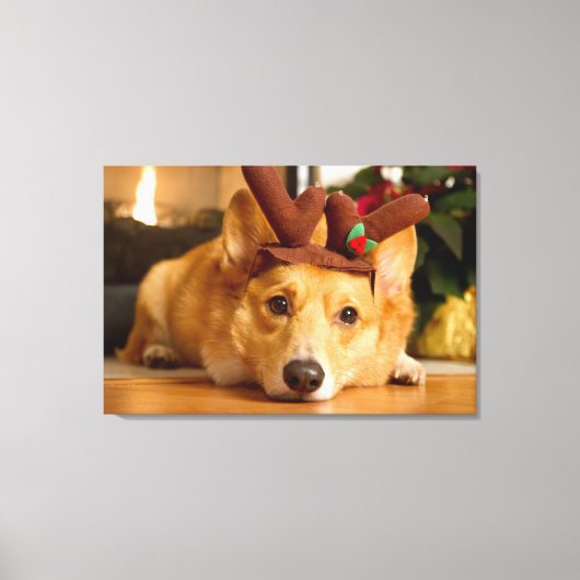 Niedliche Kleintiere | Corgi Christmas Reindeer Leinwanddruck (Vorderseite)