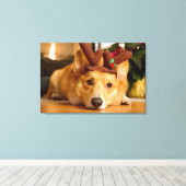 Niedliche Kleintiere | Corgi Christmas Reindeer Leinwanddruck (Insitu (Holzboden))