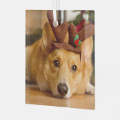 Niedliche Kleintiere | Corgi Christmas Reindeer Ornament Aus Glas (Vorderseite links)