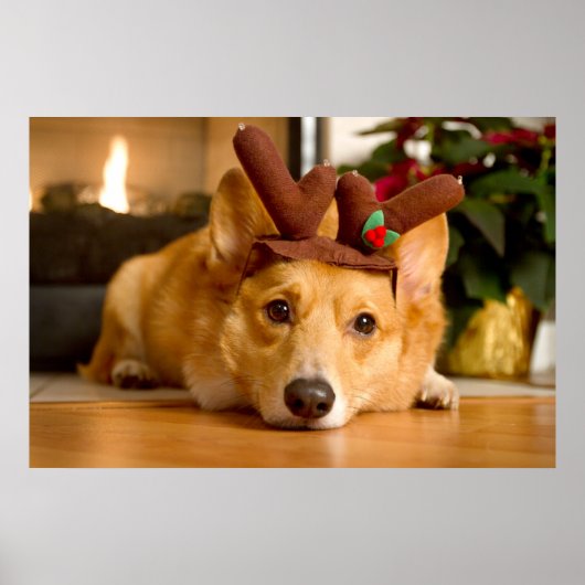 Niedliche Kleintiere | Corgi Christmas Reindeer Poster (Vorne)
