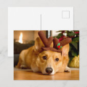 Niedliche Kleintiere | Corgi Christmas Reindeer Postkarte (Vorne/Hinten)