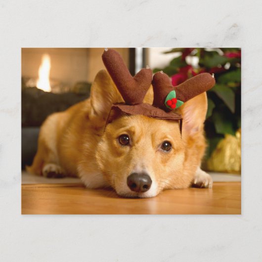 Niedliche Kleintiere | Corgi Christmas Reindeer Postkarte (Vorderseite)