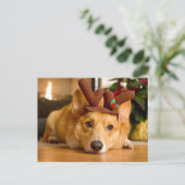 Niedliche Kleintiere | Corgi Christmas Reindeer Postkarte (Stehend Vorderseite)