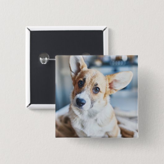 Niedliche Kleintiere | Corgi Head Tilt Button (Vorne & Hinten)