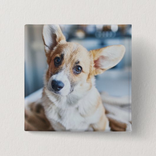 Niedliche Kleintiere | Corgi Head Tilt Button (Vorderseite)
