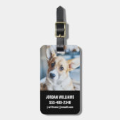 Niedliche Kleintiere | Corgi Head Tilt Gepäckanhänger (Vorderseite vertikal)