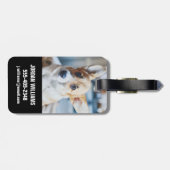 Niedliche Kleintiere | Corgi Head Tilt Gepäckanhänger (Rückseite horizontal)