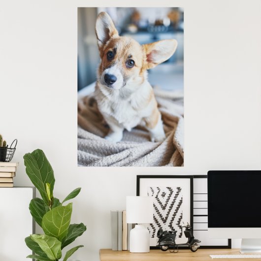 Niedliche Kleintiere | Corgi Head Tilt Poster (Heimbüro)