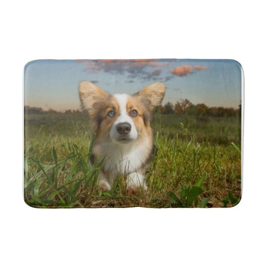 Niedliche Kleintiere | Corgi in Cloudy Yard Badematte (Vorderseite)