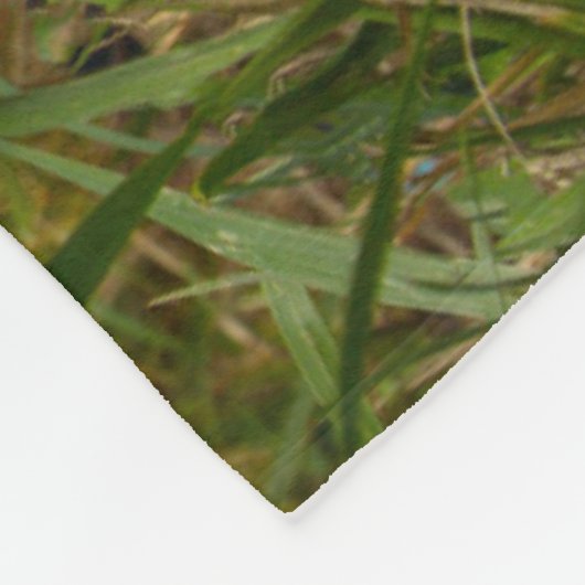 Niedliche Kleintiere | Corgi in Cloudy Yard Fleecedecke (Ecke)