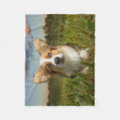 Niedliche Kleintiere | Corgi in Cloudy Yard Fleecedecke (Vorderseite)