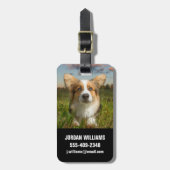 Niedliche Kleintiere | Corgi in Cloudy Yard Gepäckanhänger (Vorderseite vertikal)