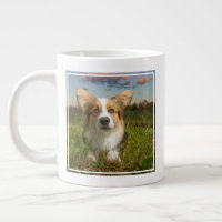 Niedliche Kleintiere | Corgi in Cloudy Yard