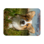 Niedliche Kleintiere | Corgi in Cloudy Yard Magnet (Horizontal)