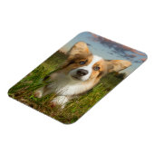 Niedliche Kleintiere | Corgi in Cloudy Yard Magnet (Linke Seite)