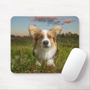 Niedliche Kleintiere Corgi in Cloudy Yard Mousepad