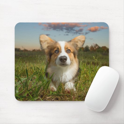 Niedliche Kleintiere | Corgi in Cloudy Yard Mousepad (Mit Mouse)