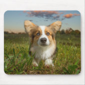 Niedliche Kleintiere | Corgi in Cloudy Yard Mousepad (Vorne)