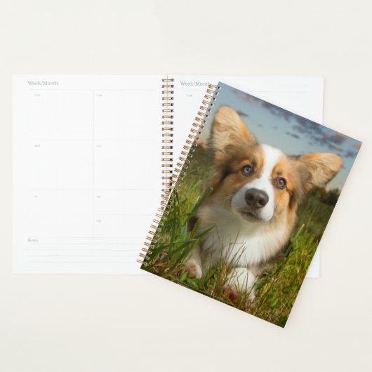 Niedliche Kleintiere | Corgi in Cloudy Yard Planer (Anzeige)