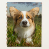 Niedliche Kleintiere | Corgi in Cloudy Yard Planer (Vorderseite)