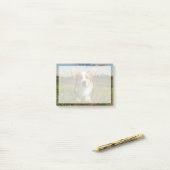 Niedliche Kleintiere | Corgi in Cloudy Yard Post-it Klebezettel (Auf Schreibtisch)