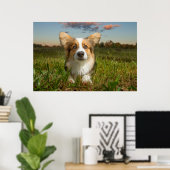 Niedliche Kleintiere | Corgi in Cloudy Yard Poster (Heimbüro)