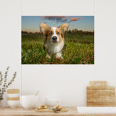 Niedliche Kleintiere | Corgi in Cloudy Yard Poster (Küche)