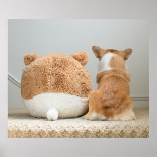 Niedliche Kleintiere Corgi & Plush Puppy Poster