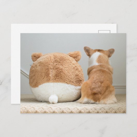 Niedliche Kleintiere | Corgi & Plush Puppy Postkarte (Vorne/Hinten)