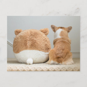 Niedliche Kleintiere   Corgi & Plush Puppy Postkarte