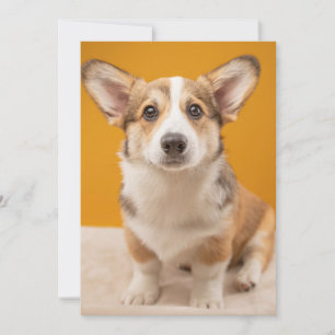 Niedliche Kleintiere   Corgi Portrait auf Orange Dankeskarte