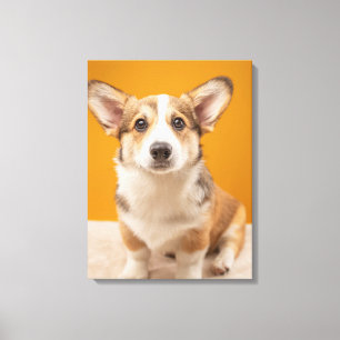 Niedliche Kleintiere   Corgi Portrait auf Orange Leinwanddruck