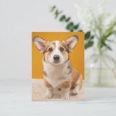 Niedliche Kleintiere | Corgi Portrait auf Orange Postkarte (Stehend Vorderseite)