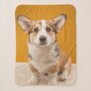 Niedliche Kleintiere   Corgi Portrait auf Orange Sherpadecke