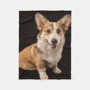 Niedliche Kleintiere   Corgi-Portrait auf Schwarz Fleecedecke