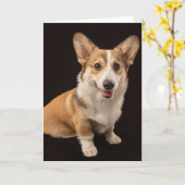 Niedliche Kleintiere | Corgi-Portrait auf Schwarz Karte (Gelbe Blume)