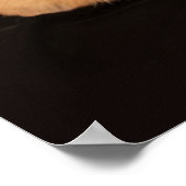 Niedliche Kleintiere | Corgi-Portrait auf Schwarz Poster (Ecke)