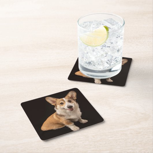 Niedliche Kleintiere | Corgi-Portrait auf Schwarz Rechteckiger Pappuntersetzer (Vor Ort)