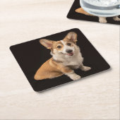 Niedliche Kleintiere | Corgi-Portrait auf Schwarz Rechteckiger Pappuntersetzer (angewinkelt)