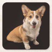 Niedliche Kleintiere | Corgi-Portrait auf Schwarz Rechteckiger Pappuntersetzer (Vorderseite)