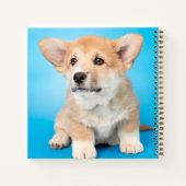 Niedliche Kleintiere | Corgi Puppy auf blau Notizblock (Rückseite)