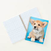 Niedliche Kleintiere | Corgi Puppy auf blau Notizblock (Innenseite)