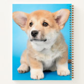 Niedliche Kleintiere | Corgi Puppy auf blau Notizblock (Rückseite)